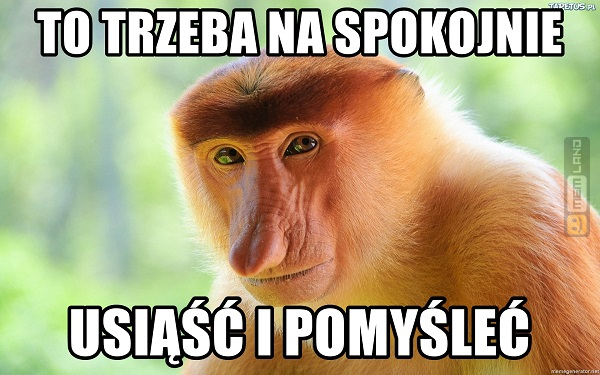 Śmieszny mem: 7174575 - MemLand