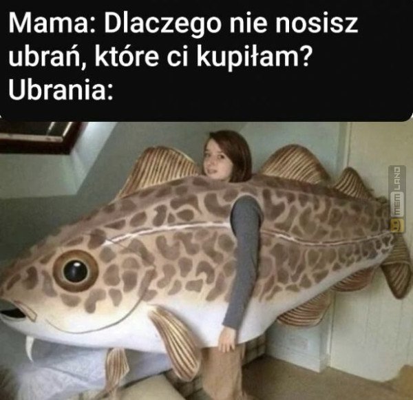 Śmieszny mem: 7186049 - MemLand