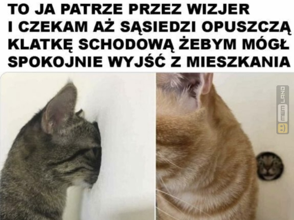 Śmieszny mem: 7189290 - MemLand