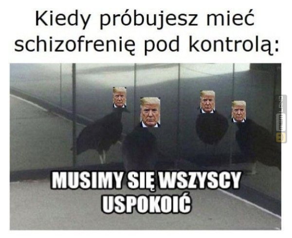 Śmieszny mem: 7193279 - MemLand