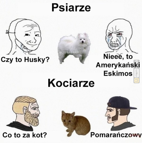 Śmieszny mem: 7197319 - MemLand