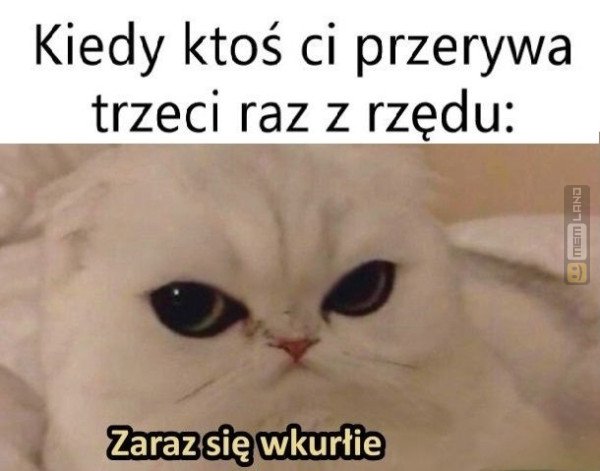 Śmieszny mem: 7197745 - MemLand