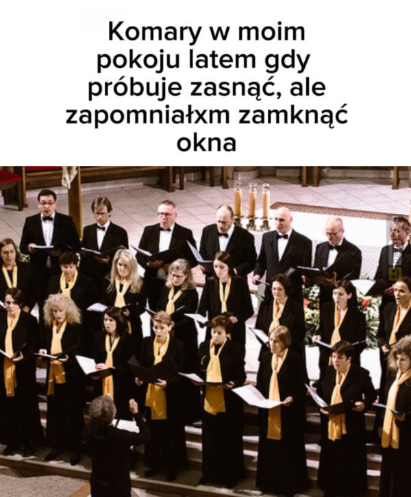 Śmieszny mem: 7204903 - MemLand