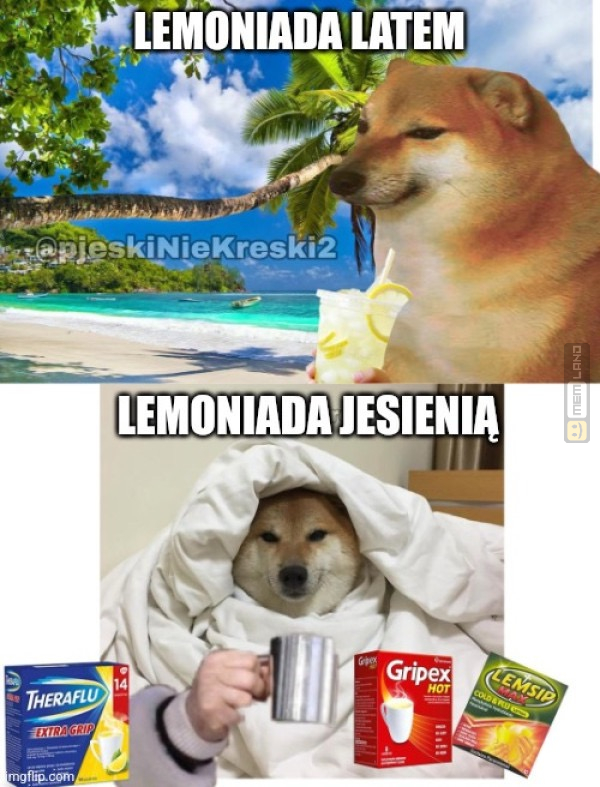 Śmieszny mem: 7213256 - MemLand