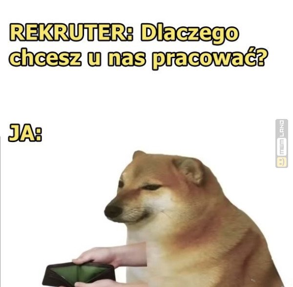 Śmieszny mem: 7224851 - MemLand