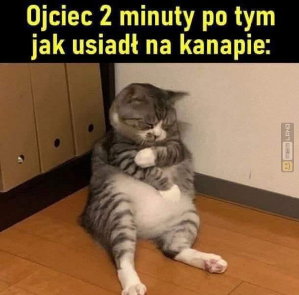 Śmieszny mem: 7227748 - MemLand