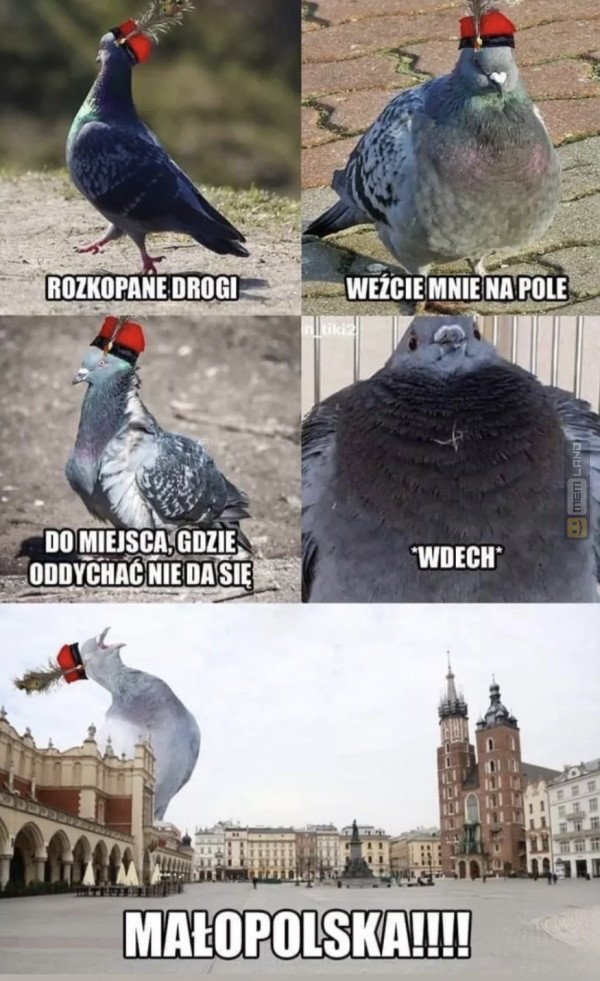 Śmieszny mem: 7228814 - MemLand