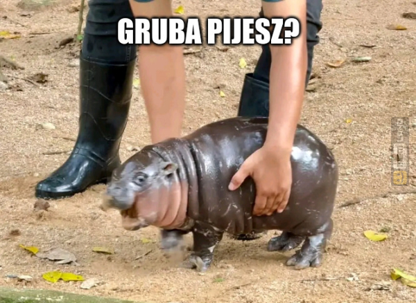 Śmieszny mem: 7232410 - MemLand