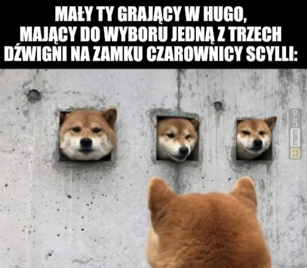 Śmieszny mem: 7241551 - MemLand