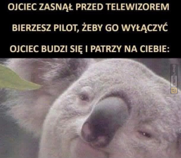 Śmieszny mem: 7241783 - MemLand