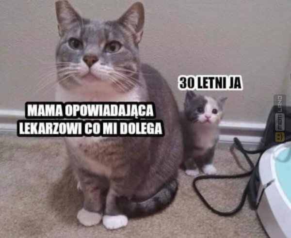 Śmieszny mem: 7249807 - MemLand