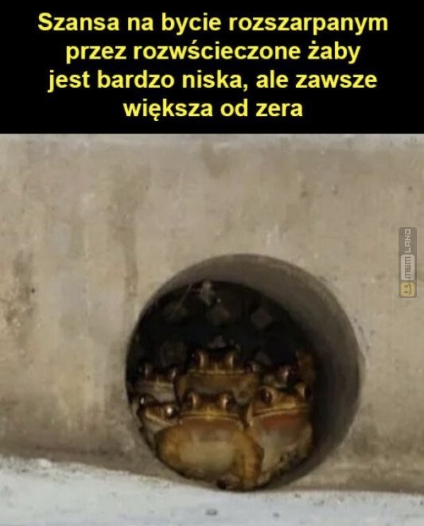 Śmieszny mem: 7252920 - MemLand