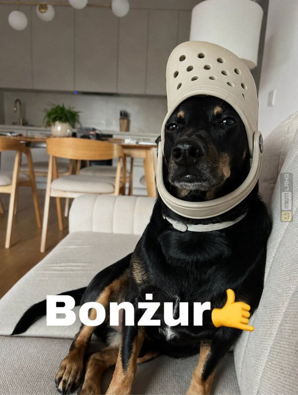Śmieszny mem: 7264486 - MemLand