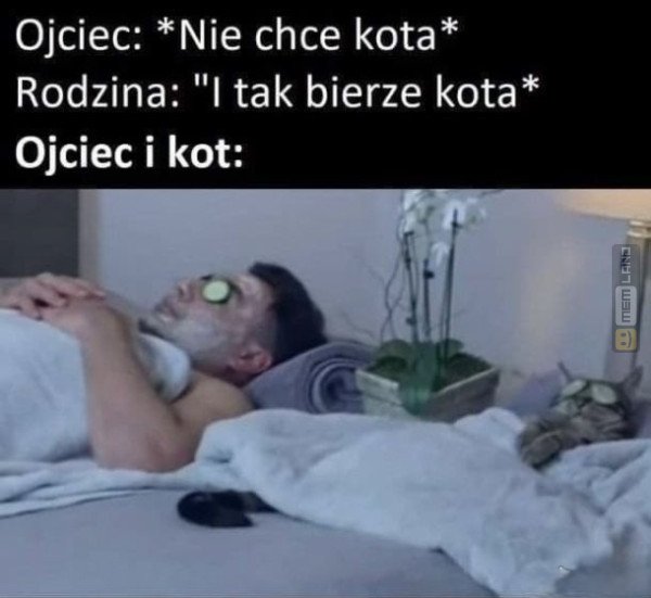 Śmieszny mem: 7267932 - MemLand