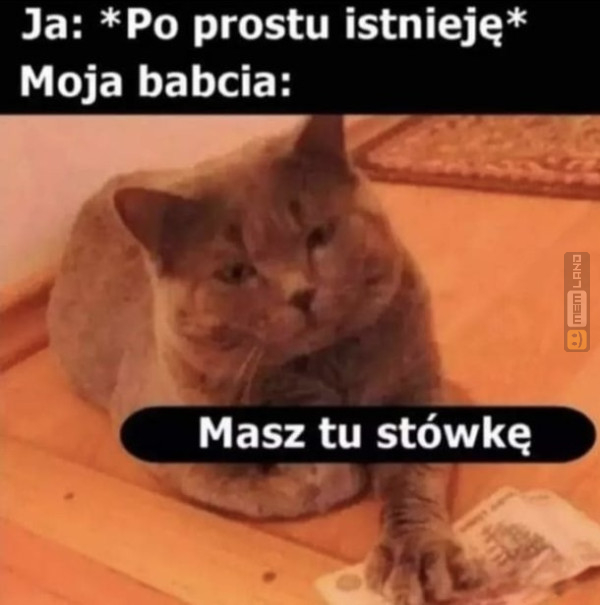 Śmieszny mem: 7274776 - MemLand