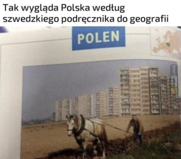 Śmieszny mem: 7277953 - MemLand