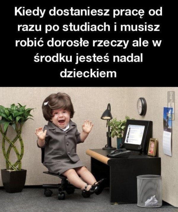 Śmieszny mem: 7280336 - MemLand