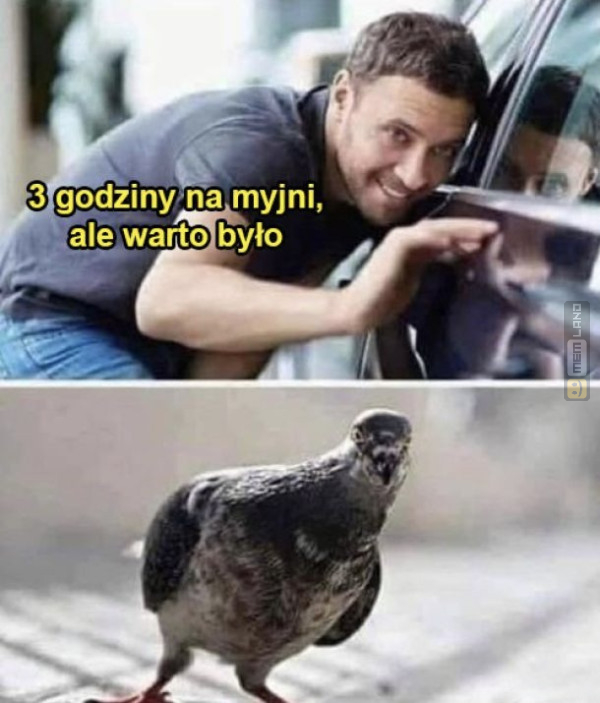 Śmieszny mem: 7283771 - MemLand