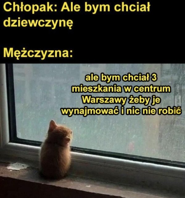 Śmieszny mem: 7286628 - MemLand