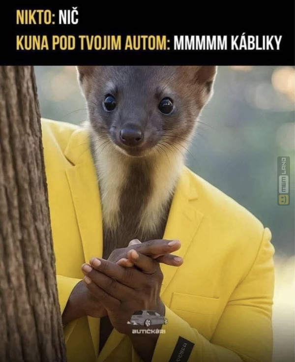 Śmieszny mem: 7291847 - MemLand