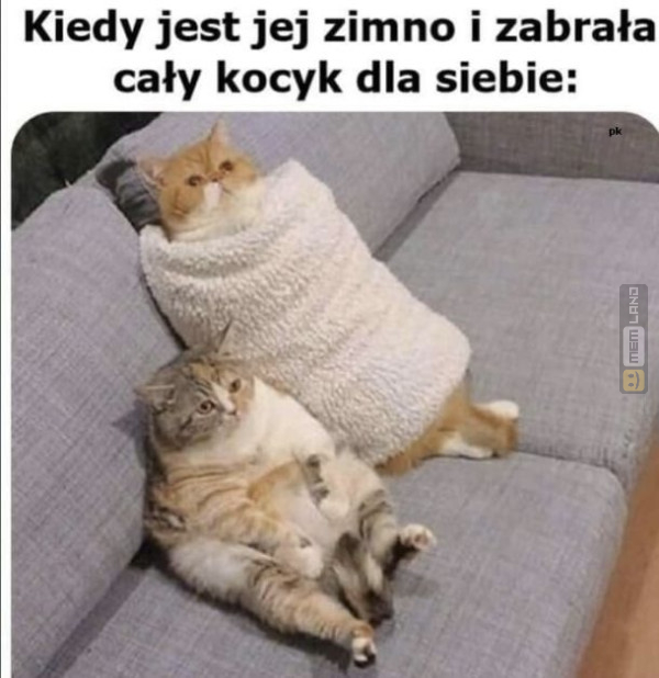 Śmieszny mem: 7293795 - MemLand