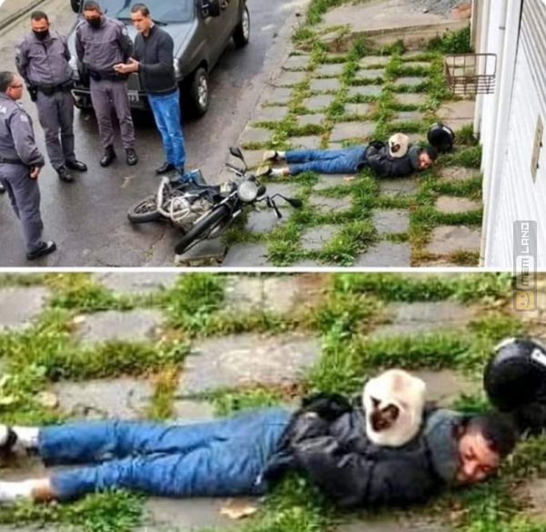 Śmieszny mem: 7298959 - MemLand