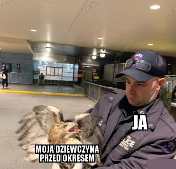 Śmieszny mem: 7301034 - MemLand