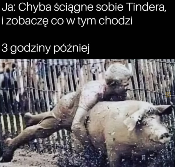 Śmieszny mem: 7305352 - MemLand