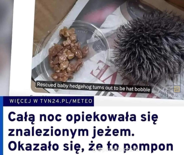 Śmieszny mem: 7307003 - MemLand