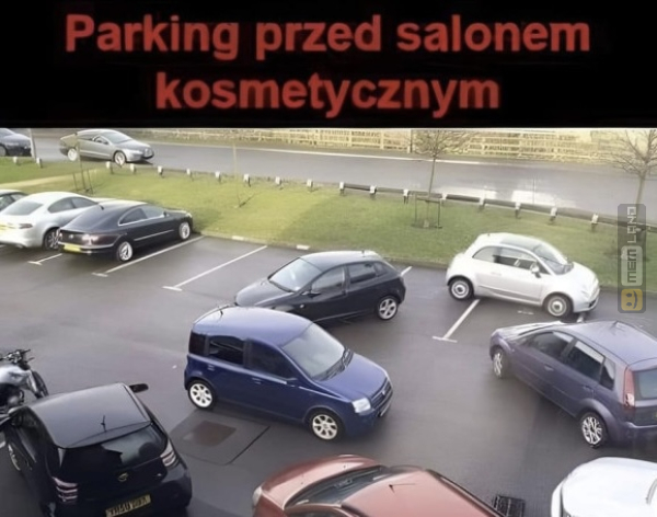 Śmieszny mem: 7310683 - MemLand