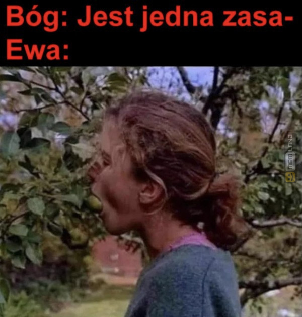 Śmieszny mem: 7314119 - MemLand