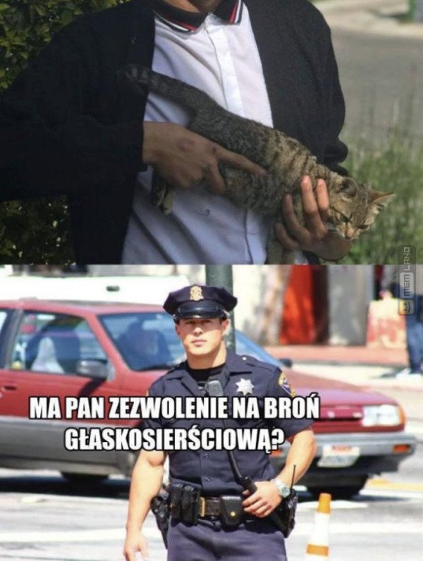 Śmieszny mem: 7317423 - MemLand