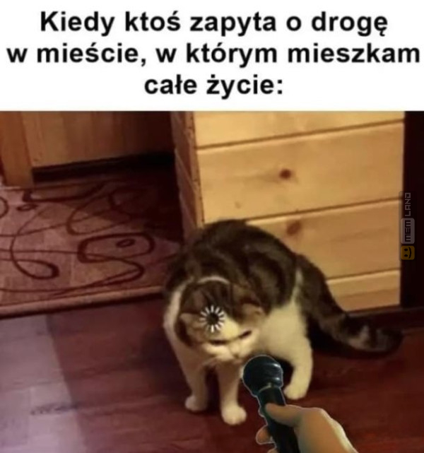 Śmieszny mem: 7328902 - MemLand