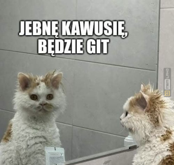 Śmieszny mem: 7329707 - MemLand