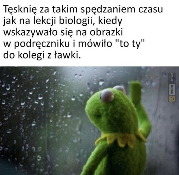 Śmieszny mem: 7330004 - MemLand