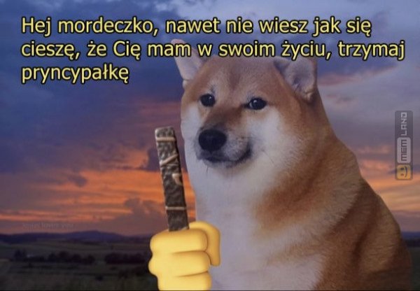 Śmieszny mem: 7338221 - MemLand