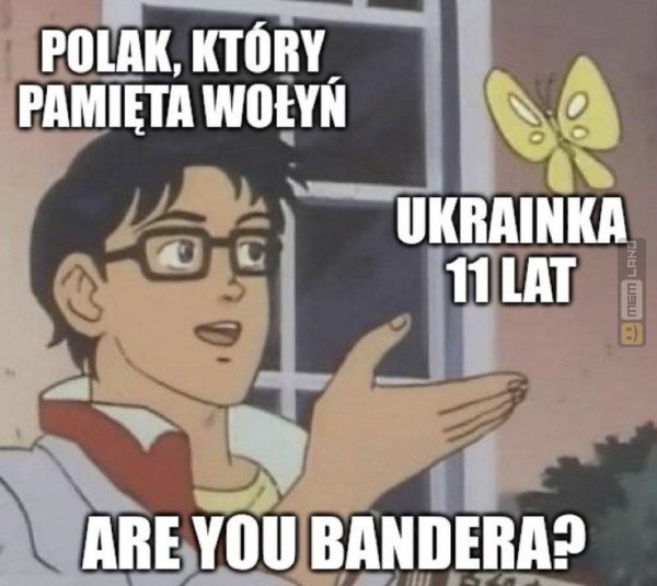 Śmieszny mem: 7339147 - MemLand