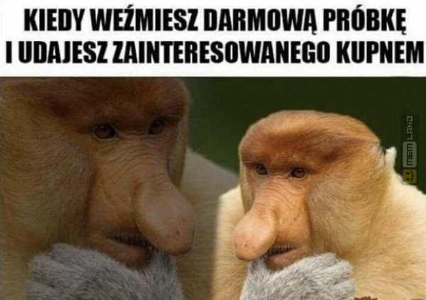 Śmieszny mem: 7340995 - MemLand