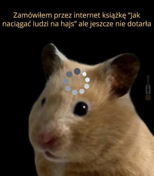 Śmieszny mem: 7345682 - MemLand