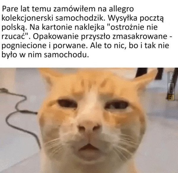 Śmieszny mem: 7347141 - MemLand