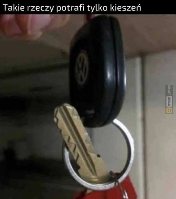 Śmieszny mem: 7350477 - MemLand