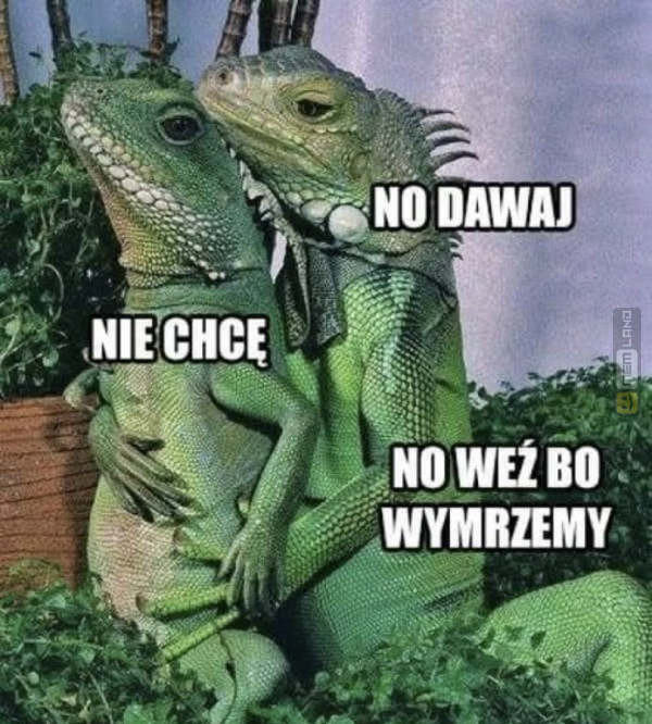 Śmieszny mem: 7363200 - MemLand