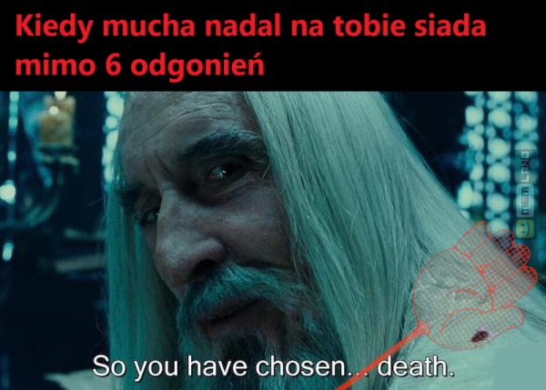 Śmieszny mem: 7368217 - MemLand