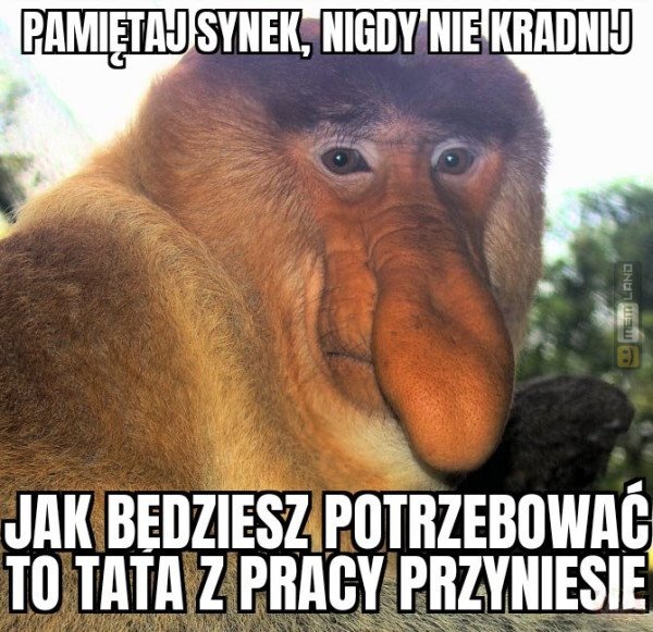 Śmieszny mem: 7369607 - MemLand