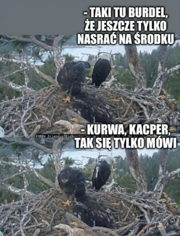 Śmieszny mem: 7372874 - MemLand