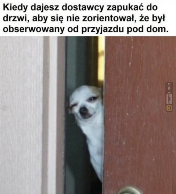 Śmieszny mem: 7382853 - MemLand