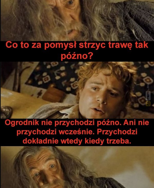 Śmieszny mem: 7396758 - MemLand