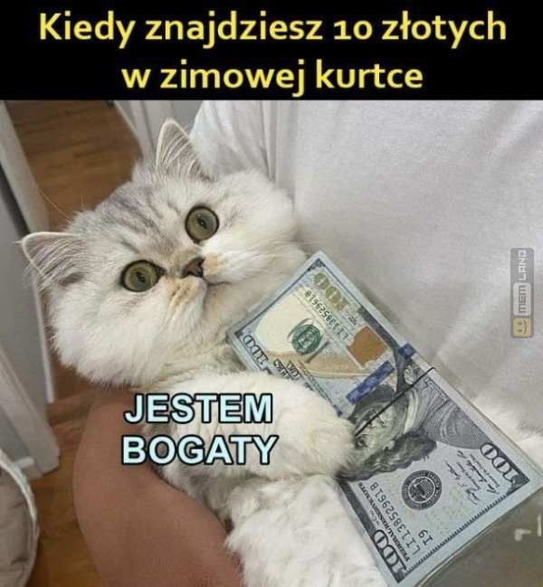 Śmieszny mem: 7398109 - MemLand