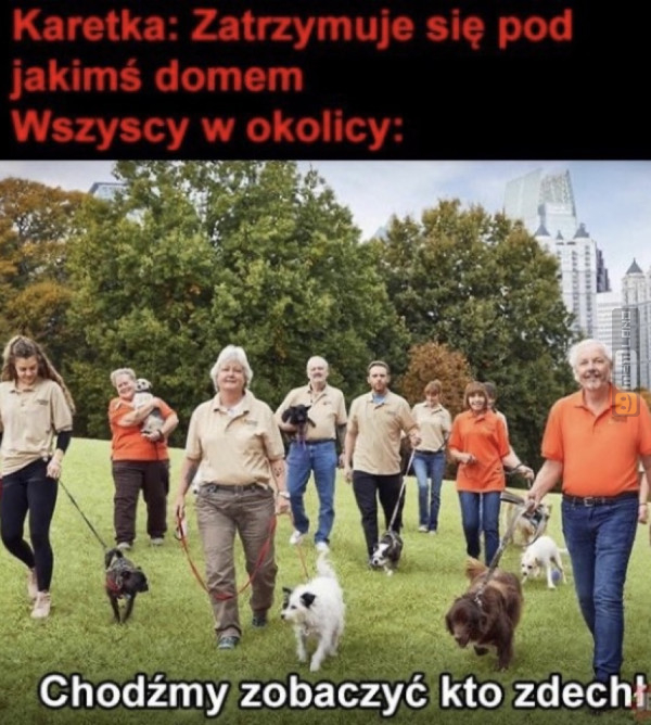 Śmieszny mem: 7408171 - MemLand