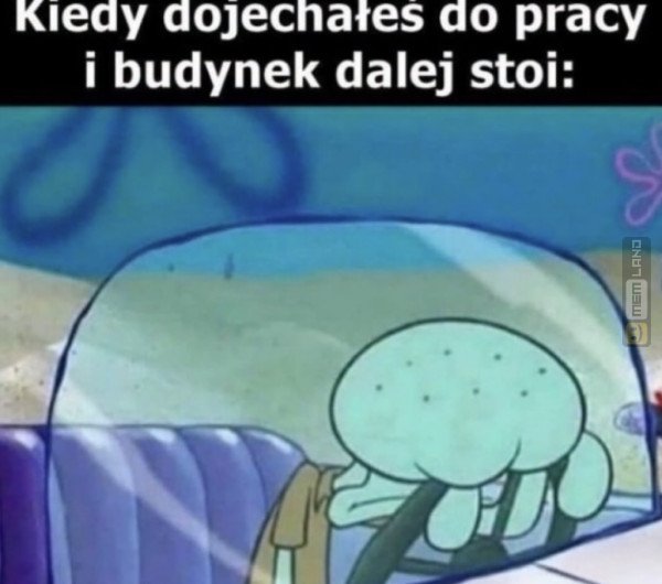 Śmieszny mem: 7412484 - MemLand